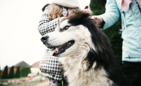 фотосессия с собакой семейная фотосъемка на даче на природе