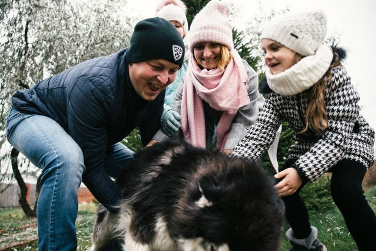 фотосессия с собакой семейная фотосъемка на даче на природе