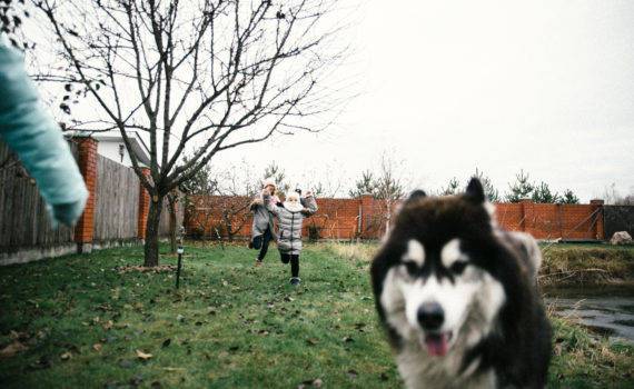 семейная фотосъемка на даче на природе фотосессия с собакой